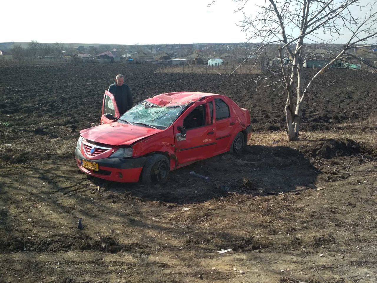В Фалештах такси врезалось в дерево, водитель погиб