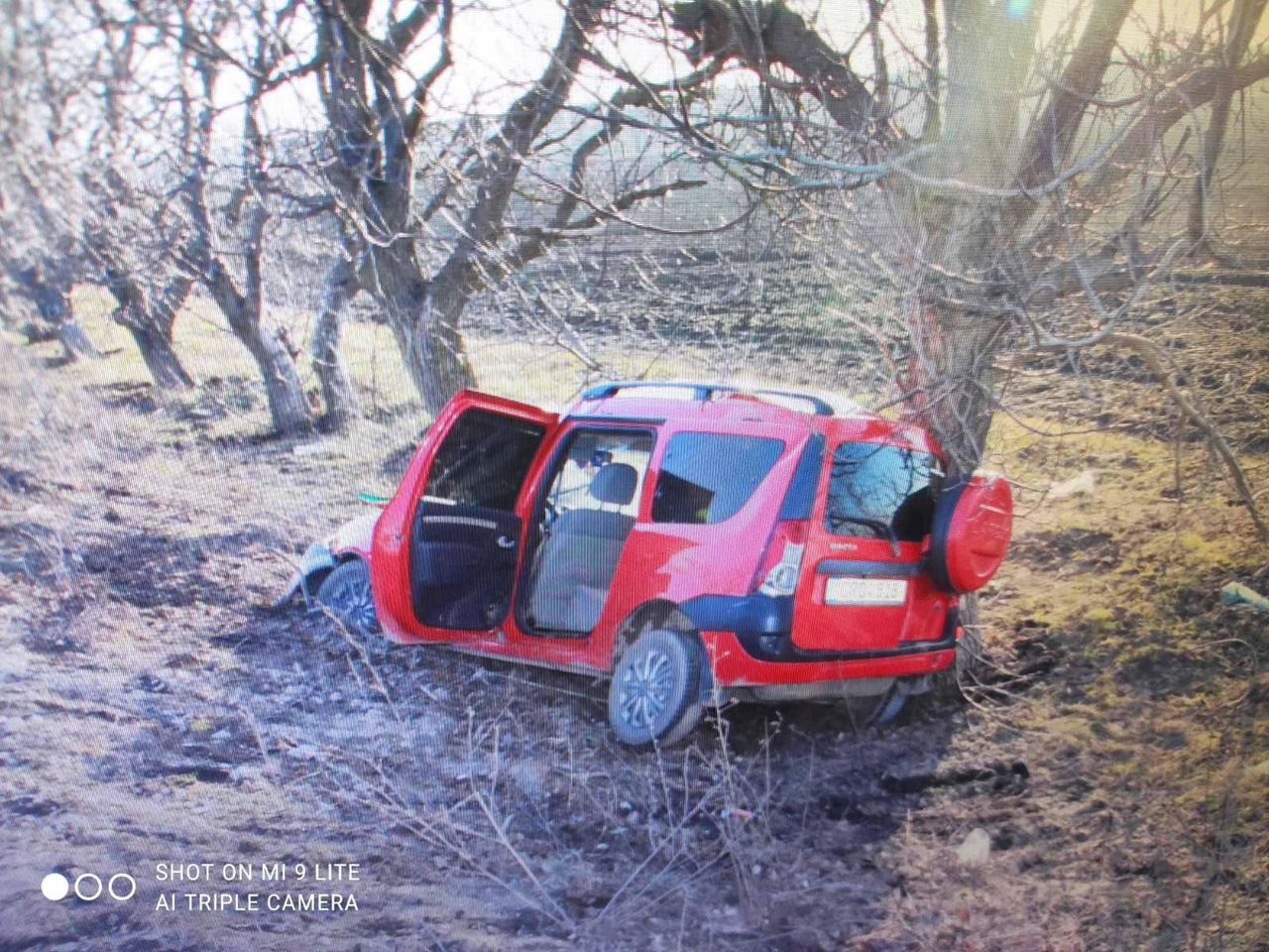 В Фалештском районе автомобиль с тремя пьяными мужчинами врезался в дерево