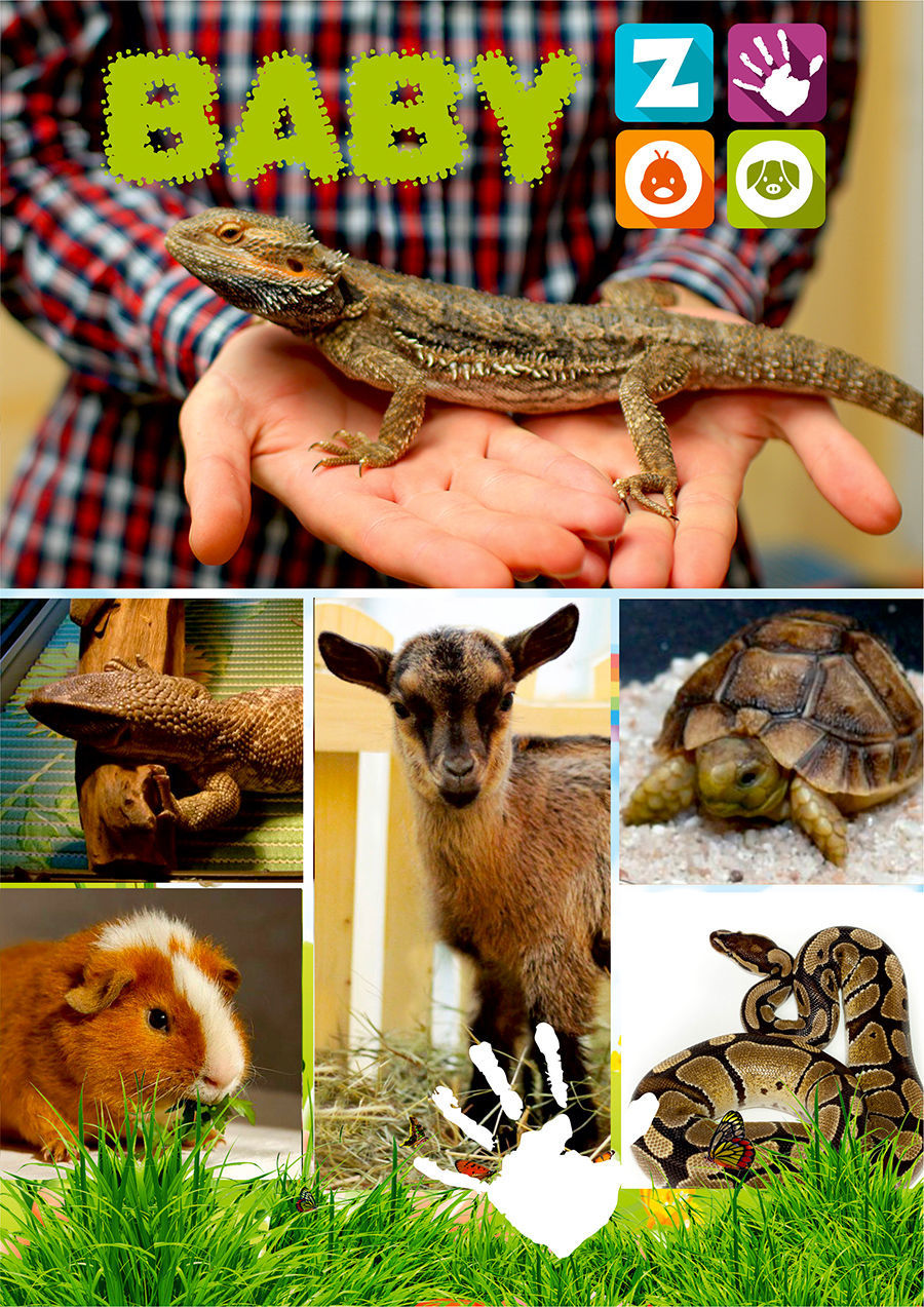 Baby Hall: в ручном зоопарке Baby Zoo две новые обезьянки ®