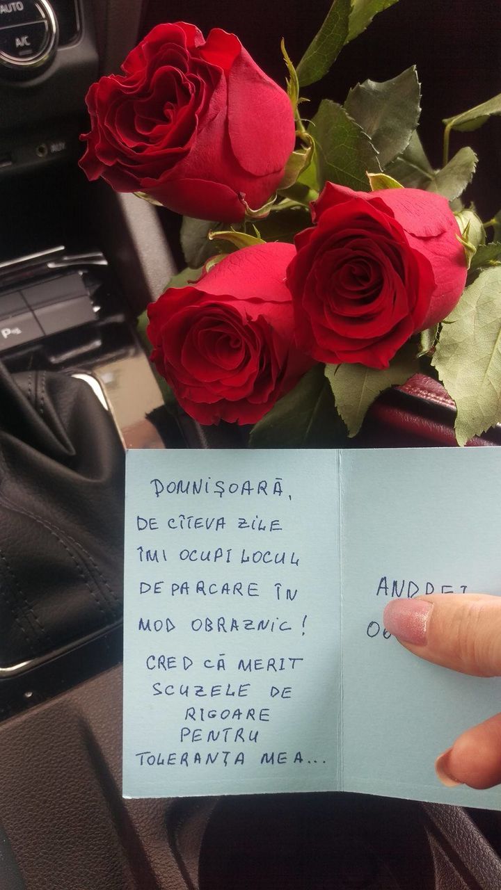 Surpriză romantică pentru o şoferiţă obraznică din Capitală