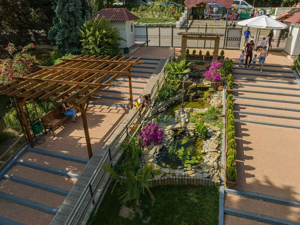 Animalele de la zoo, afectate de caniculă: Cum fac față temperaturilor ridicate