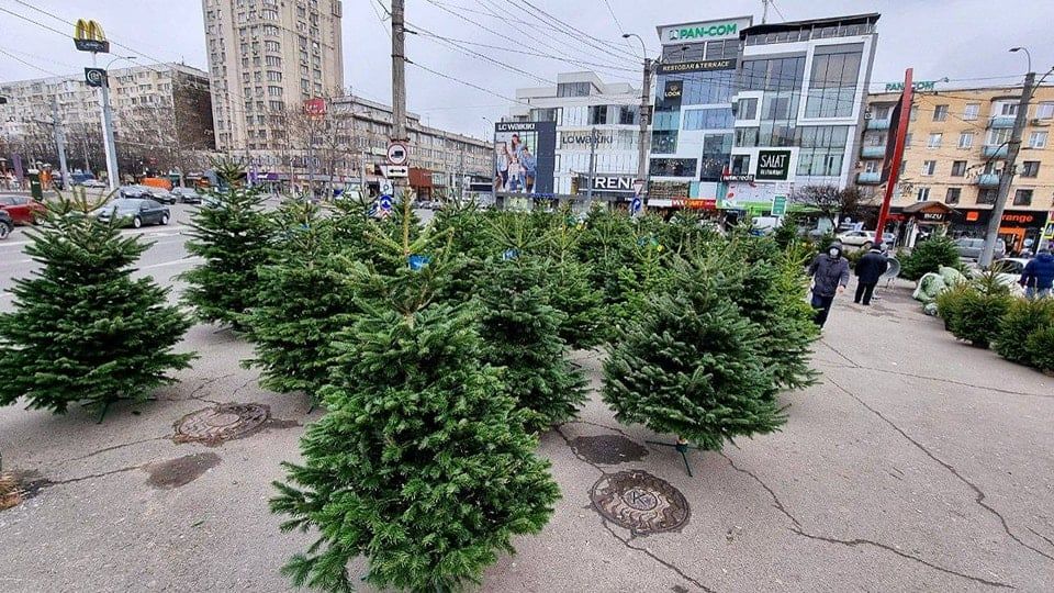 Чебан: Елочные базары будут работать во всех секторах Кишинева