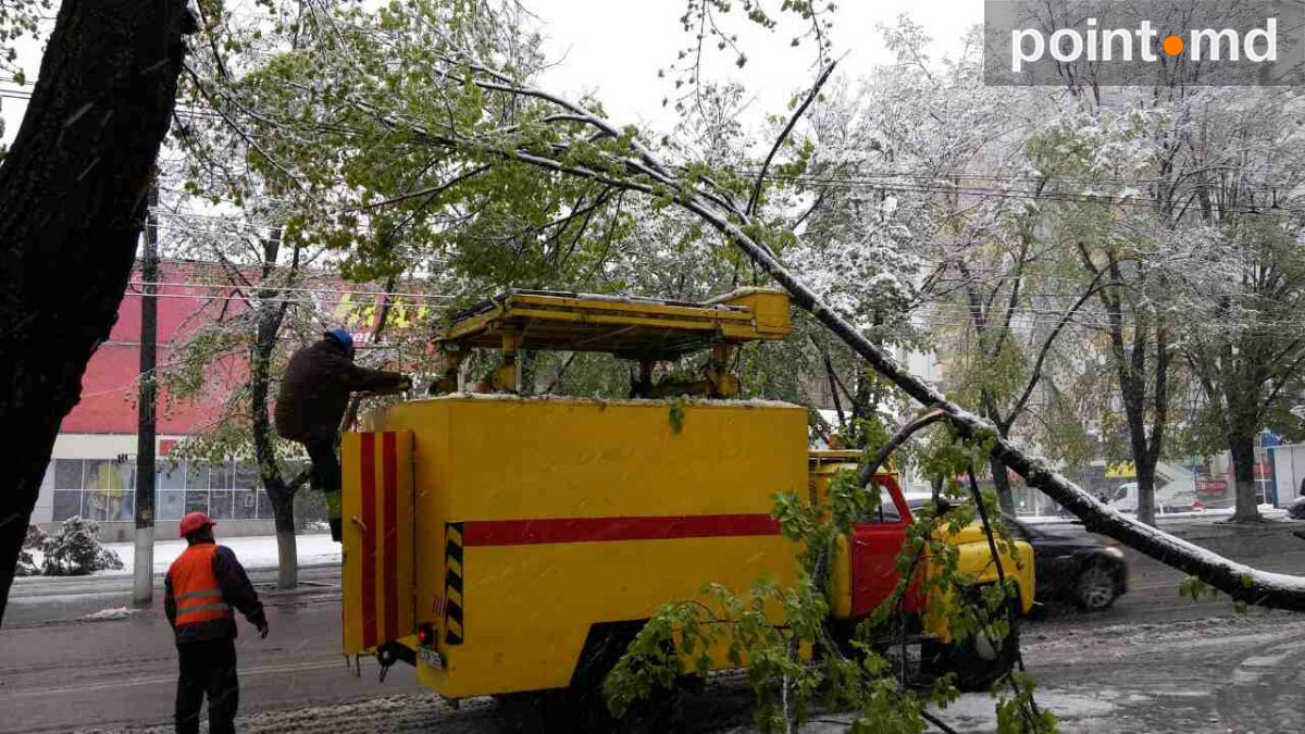 Не выдержав мокрого снега, в Кишиневе стали падать деревья