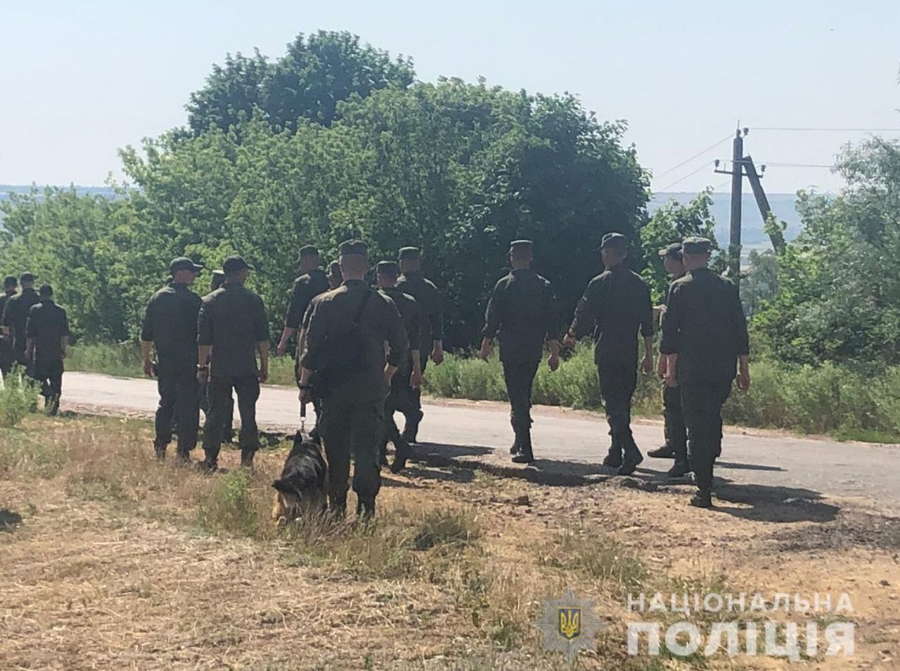 В Одесской области сотни людей ищут пропавшую одиннадцатилетнюю девочку