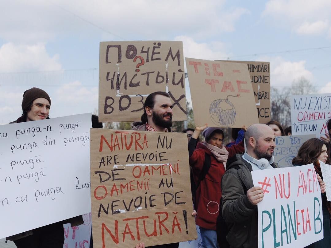 Активисты протестовали у правительства, требуя защиты окружающей среды