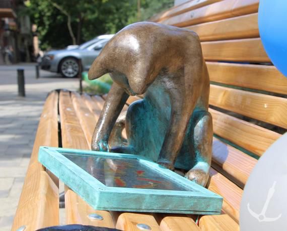 В Одессе появилась кошка – любительница гаджетов