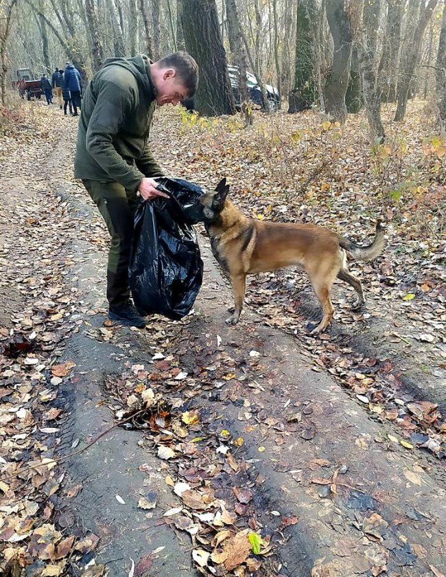 Служебная собака Погранполиции Лаки участвует в кампании «Добрый день» и радует детей
