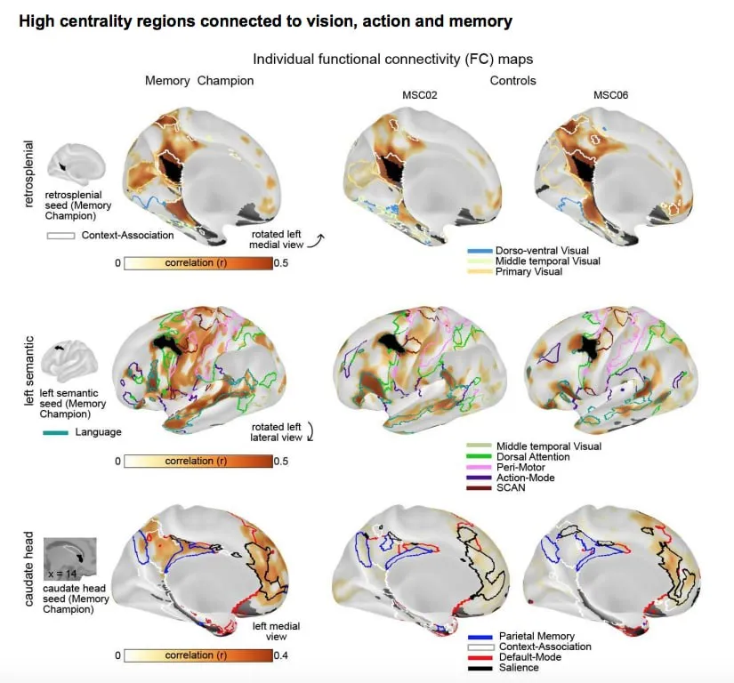 МРТ показала, как работает мозг чемпиона США по запоминанию