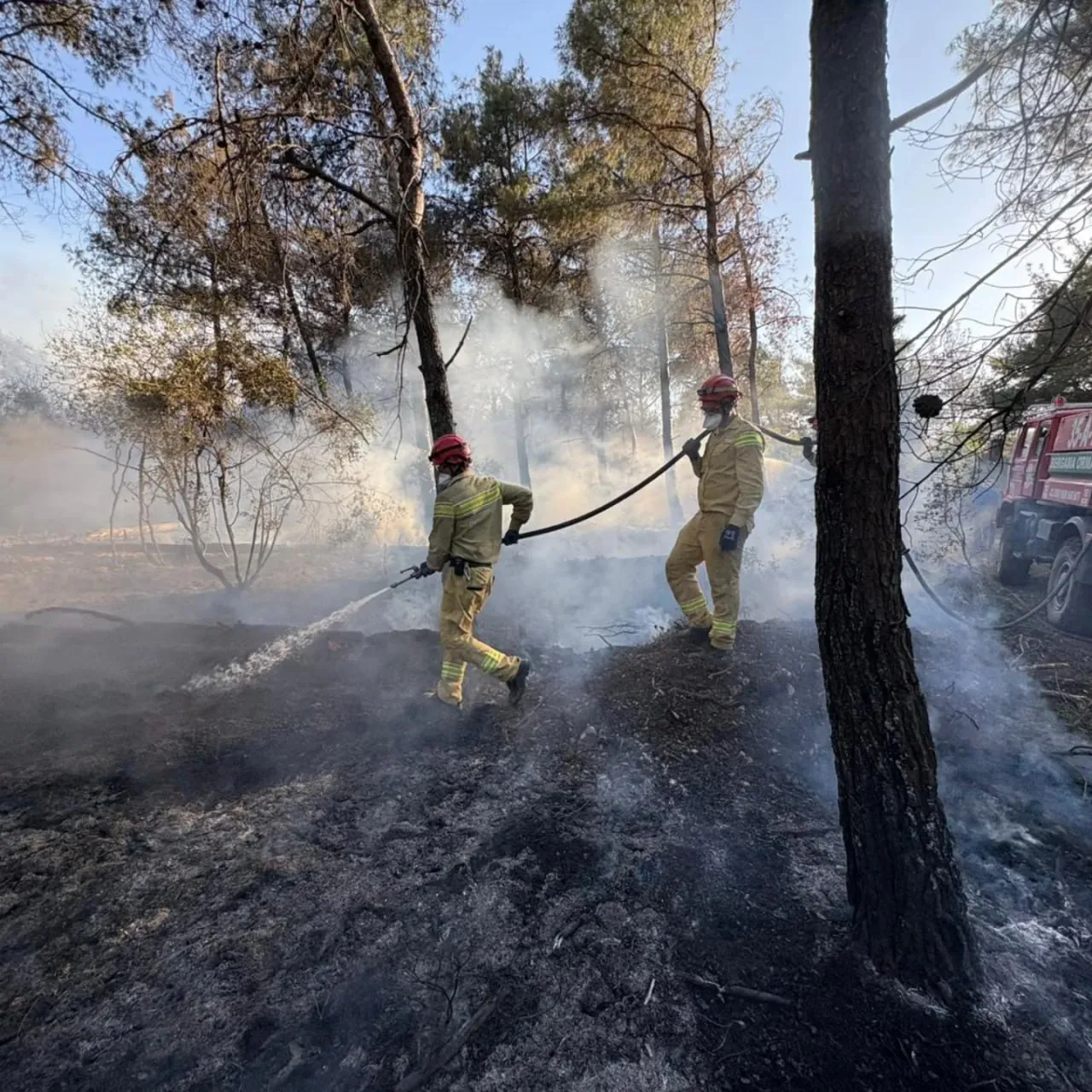 Incendiul de pădure din Izmir nu poate fi localizat deja de două zile