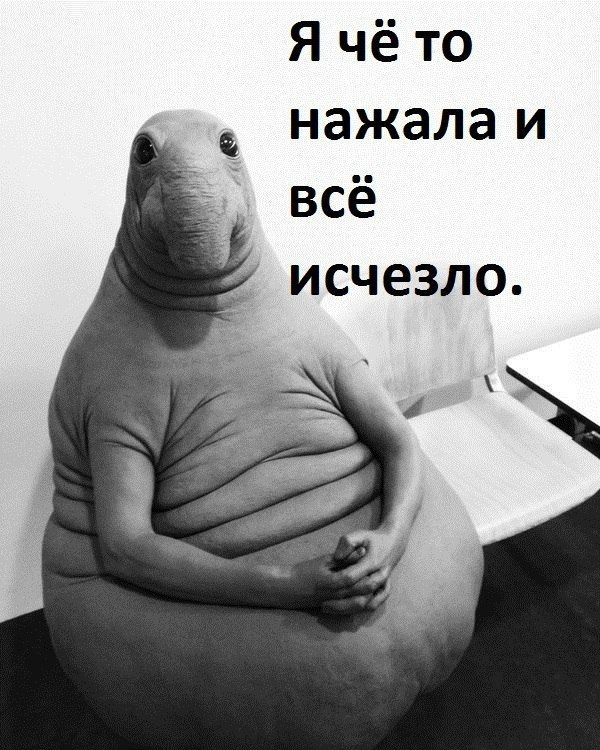 Пользователей соцсетей покорил мем «Ждун»