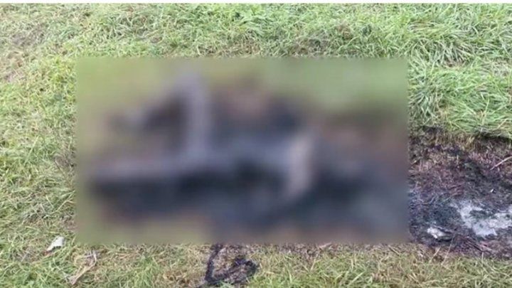 В Молдове уже два месяца не могут установить личность убитой девушки