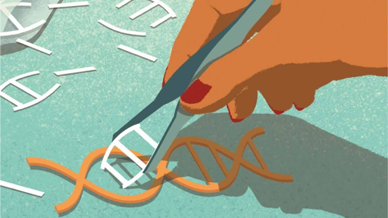Нас ждут дизайнерские младенцы и новые технологии создания детей