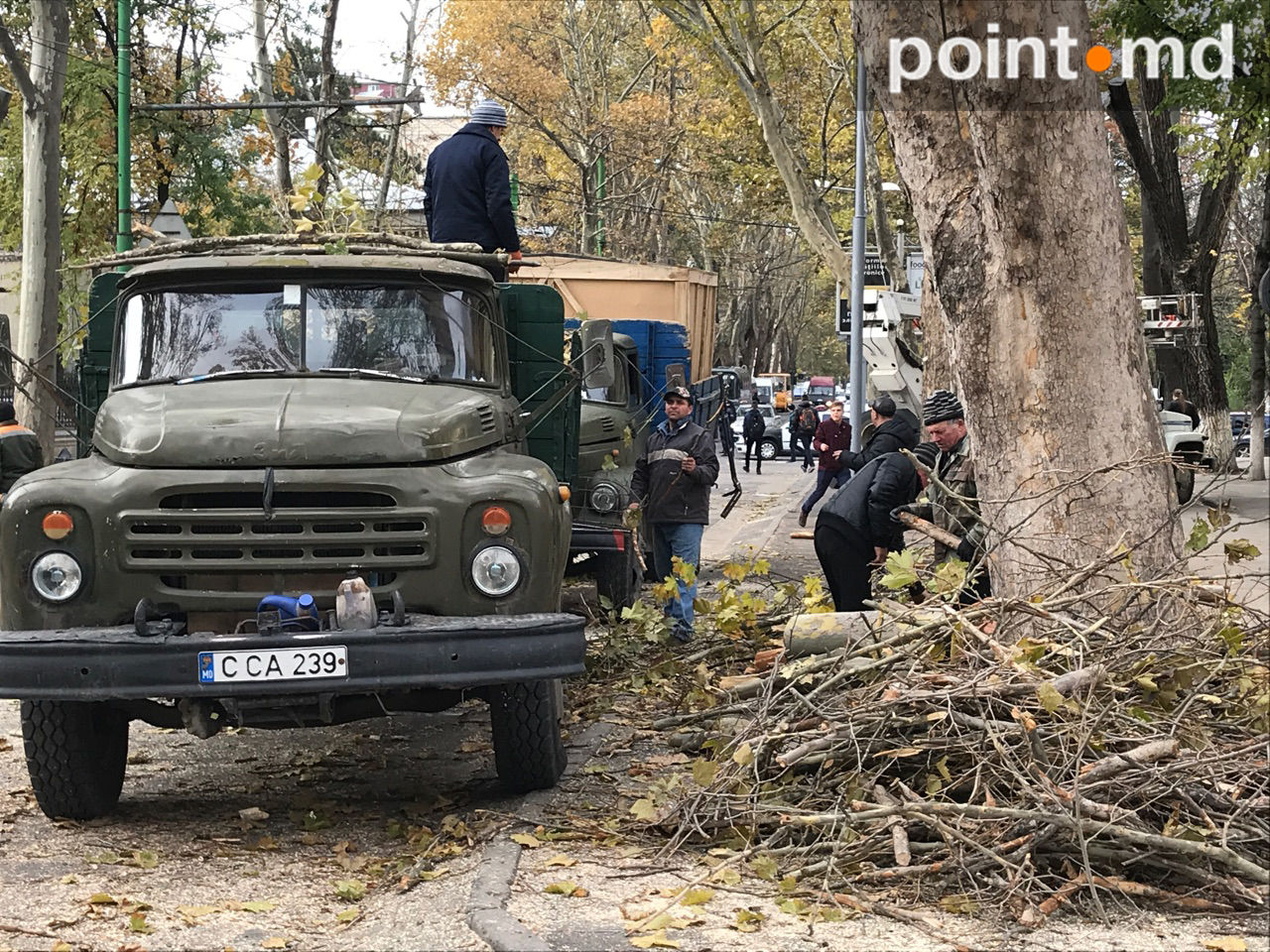 O porțiune a străzi 31 August, împânzită de crengi tăiate