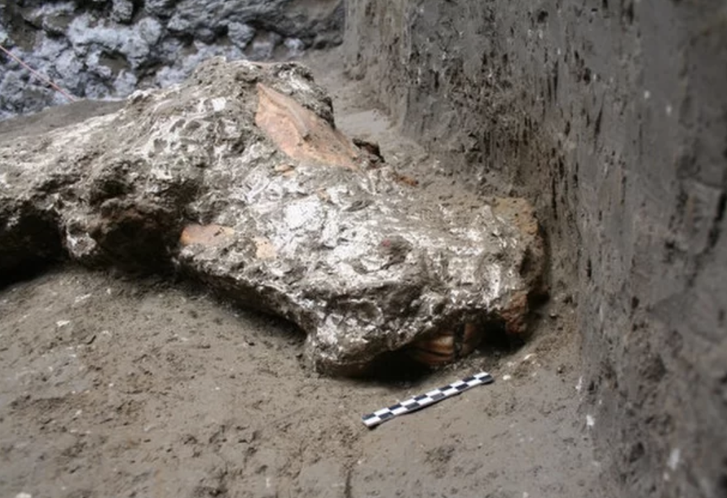 Археологи нашли в Помпеях древнеримские конюшни и "мумию" лошади