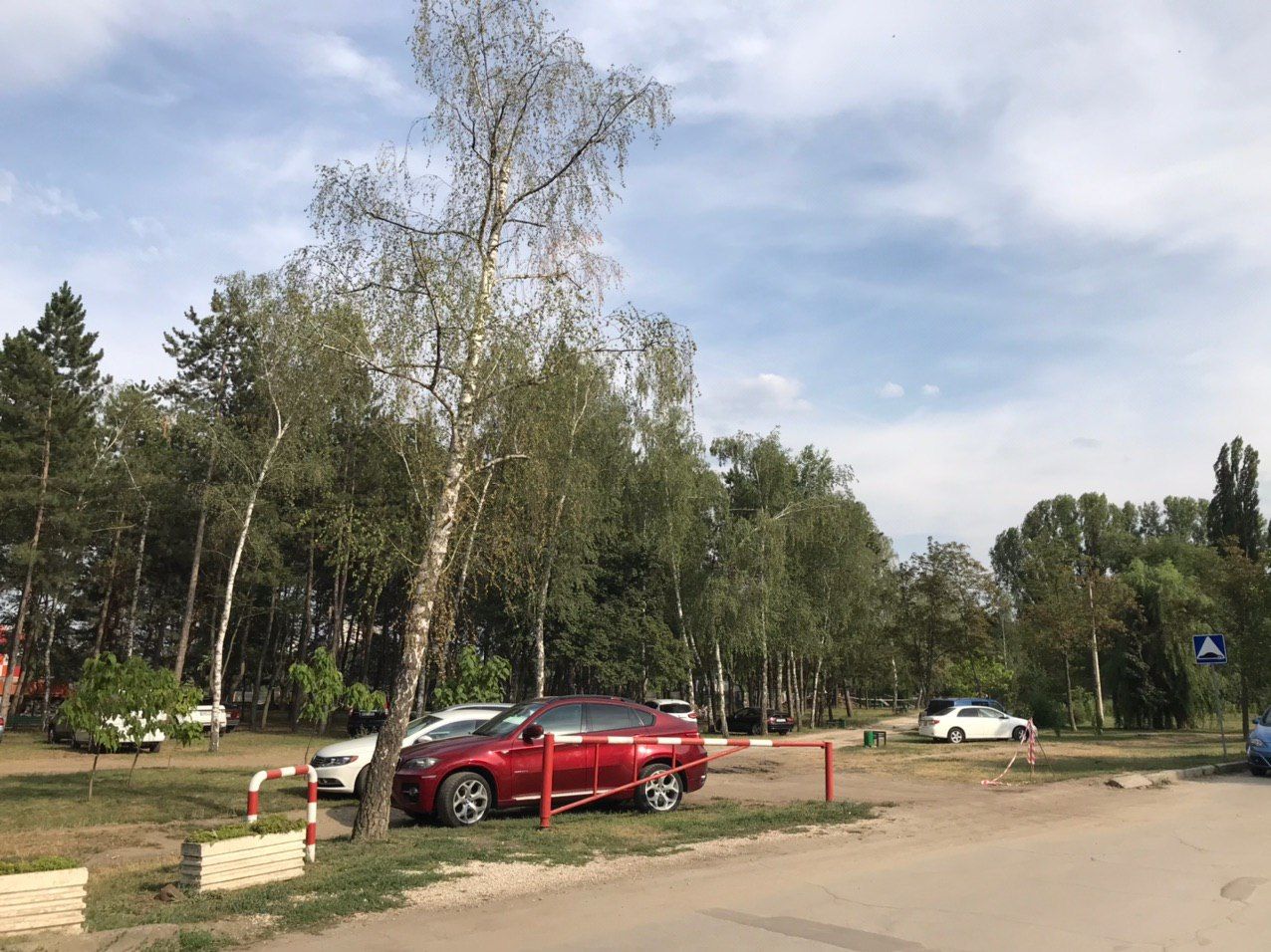 Автомобилисты стали парковаться прямо в парке на Скулянке