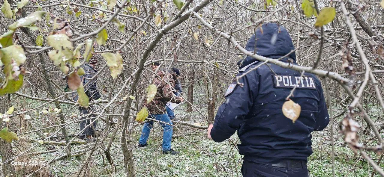 В Страшенском районе выявили случай незаконной вырубки деревьев