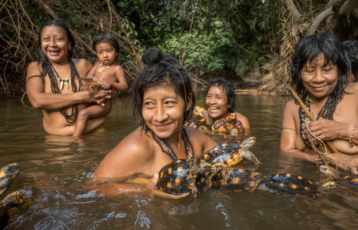 National Geographic обнародовал лучшие фотографии 2018 года