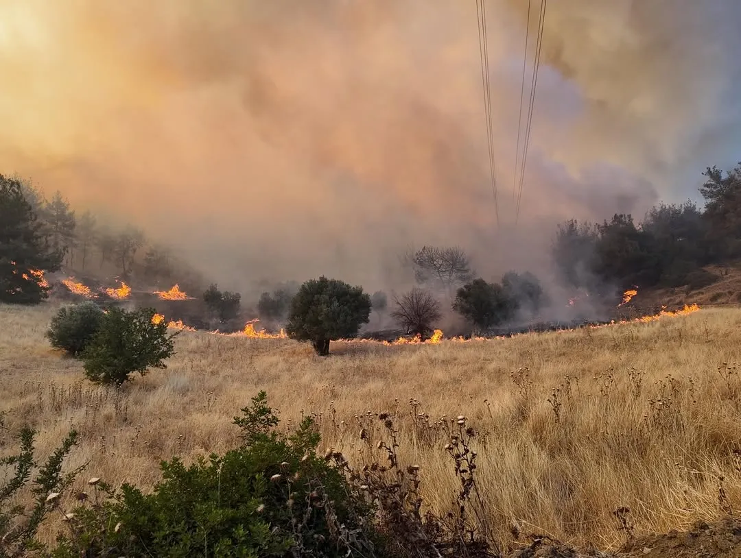 Incendiul de pădure din Izmir nu poate fi localizat deja de două zile