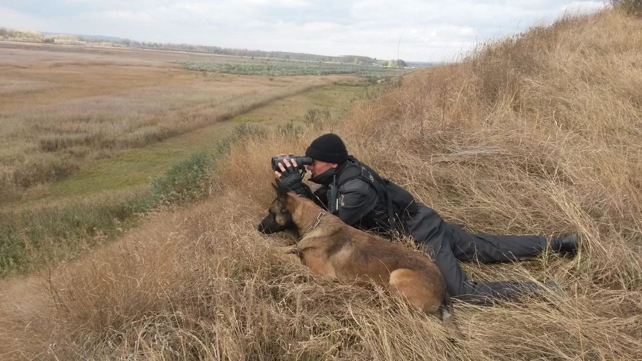 Служебная собака Погранполиции Лаки участвует в кампании «Добрый день» и радует детей