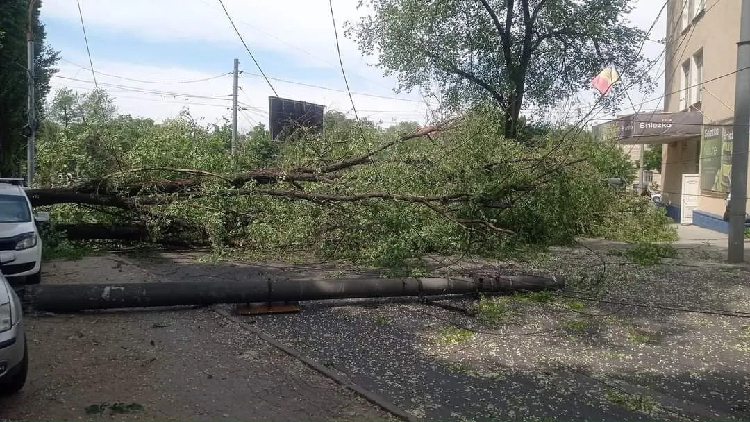 В Кишиневе упавшее дерево повредило автомобиль и опоры ЛЭП