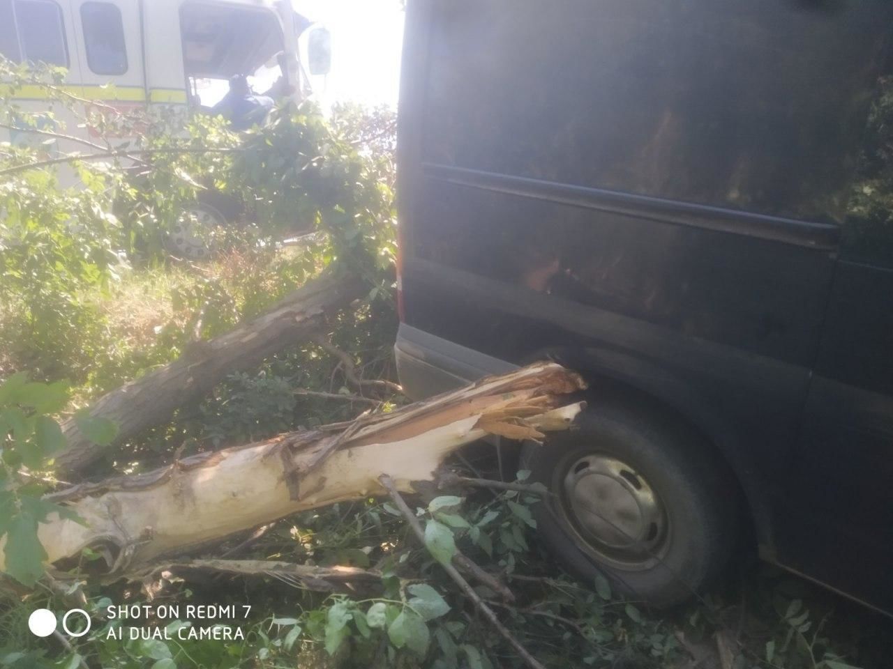 В Сороках автомобиль врезался в дерево, водитель скончался