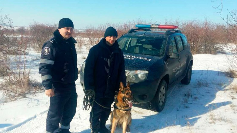 Служебный пес выследил воров, укравших свинью