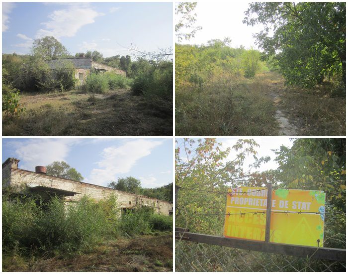 Atac raider cu iz de antisemitism s-a desfăşurat în Moldova