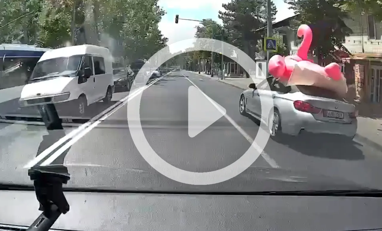 Un șofer, surprins cum circulă prin Capitală cu un flamingo gonflabil pe acoperișul mașinii