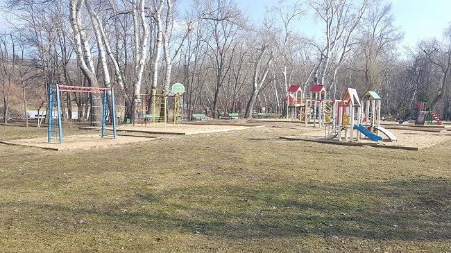В столичном Дендрарии могут появиться система электронного входа, скейт-парк
