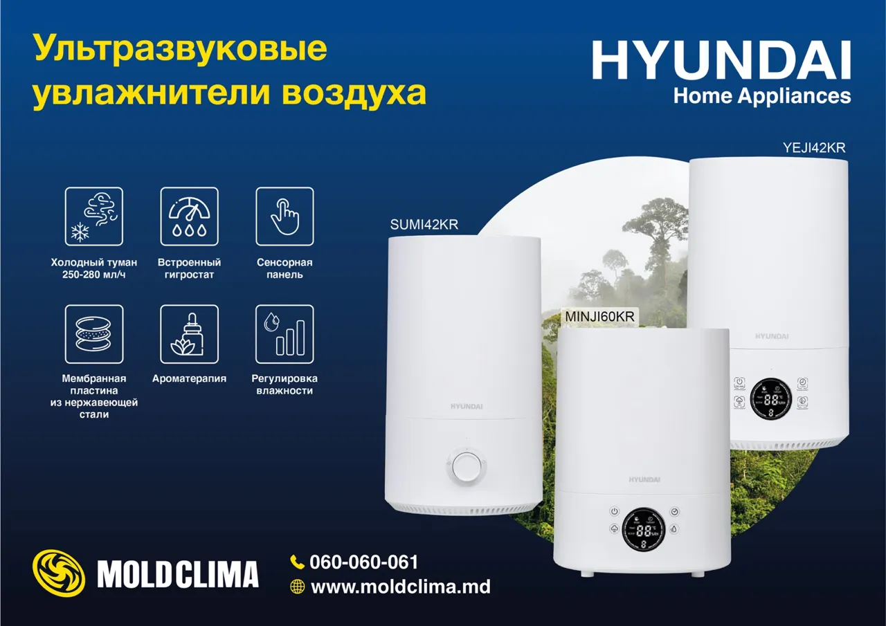 Здоровый воздух дома: как сезонные решения от Hyundai помогут пережить зиму