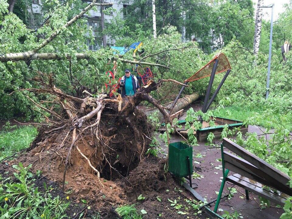 В Москве от урагана погибли 14 человек