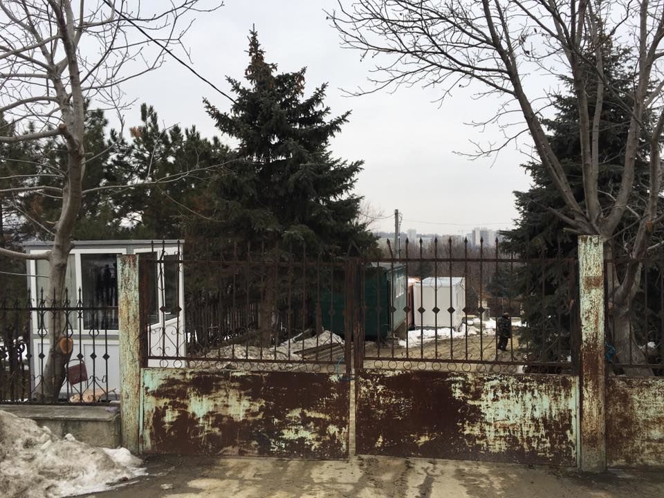 На территории, примыкающей к Дендрарию, началась стройка