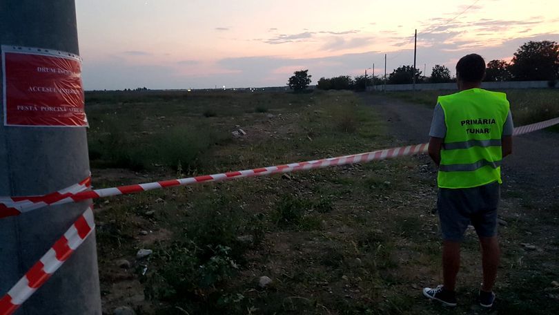 Чума свиней: Украина строит забор на границе с Румынией, та ограничилась лентой