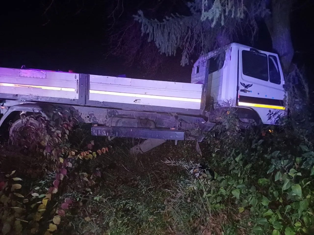Un camion s-a izbit de un copac în raionul Briceni: Șoferul a murit pe loc