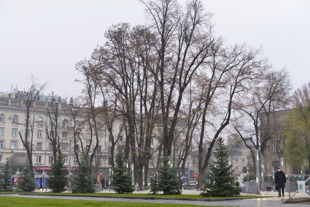 Состоялось официальное открытие сквера "Михай Эминеску"