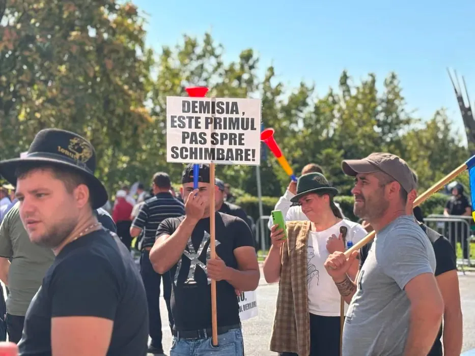 В Румынии протесты из-за запрета на экспорт овец и коз переросли в столкновения