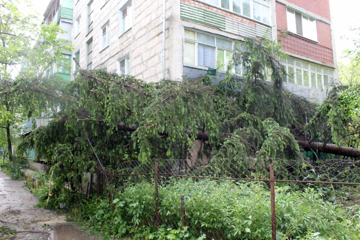 В Рыбнице устранили последствия прошедшей грозы
