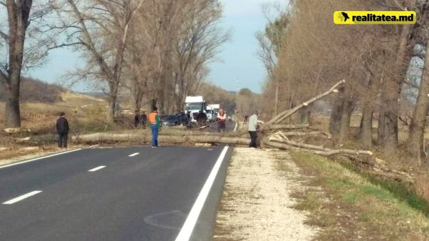 Atenție la drum! Trafic blocat din cauza copacilor căzuți în mijlocul drumului