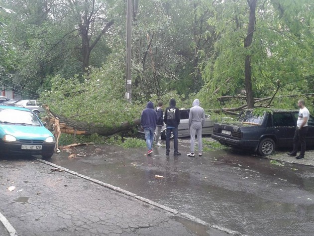 Un bărbat şi-a găsit maşina zdrobită de un copac