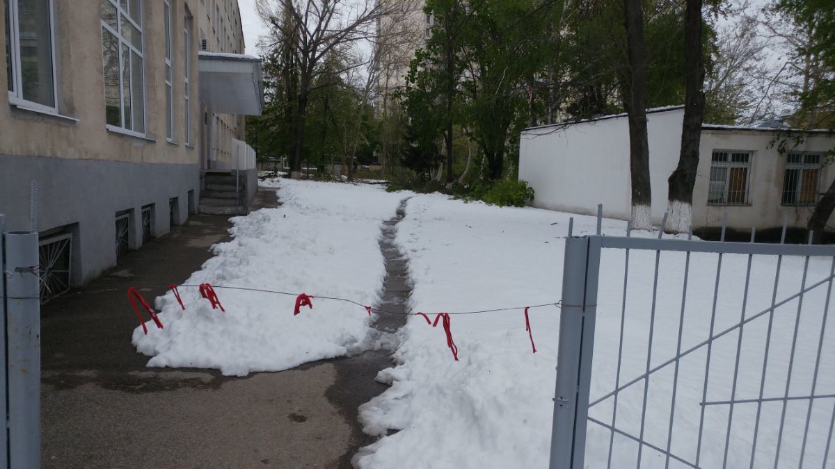 Двор столичного лицея полностью завален ветками