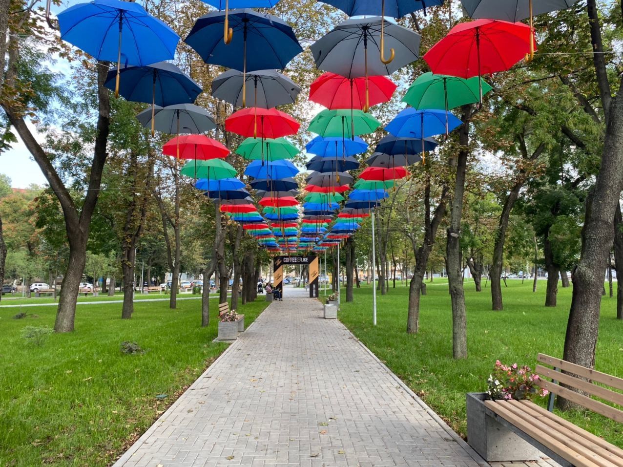В парке на Буюканах проходит фестиваль зонтов