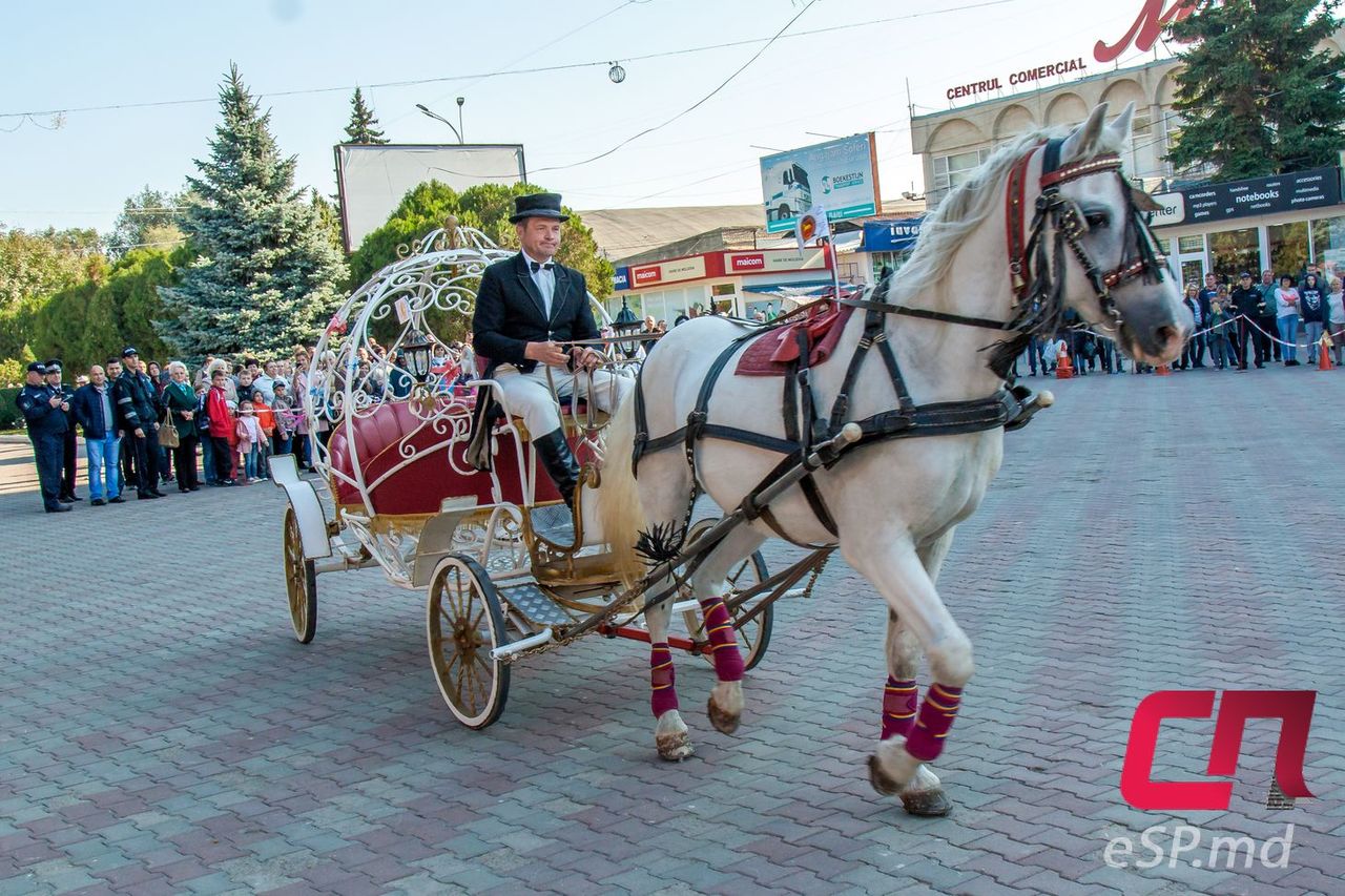 Впервые в Бельцах прошёл фестиваль конного искусства