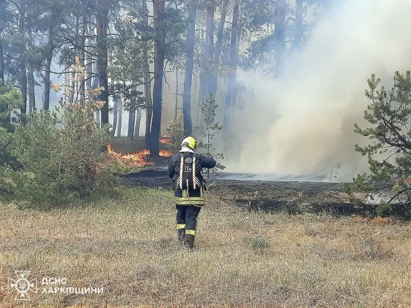 Из-за лесных пожаров в Харьковской области детонируют боеприпасы