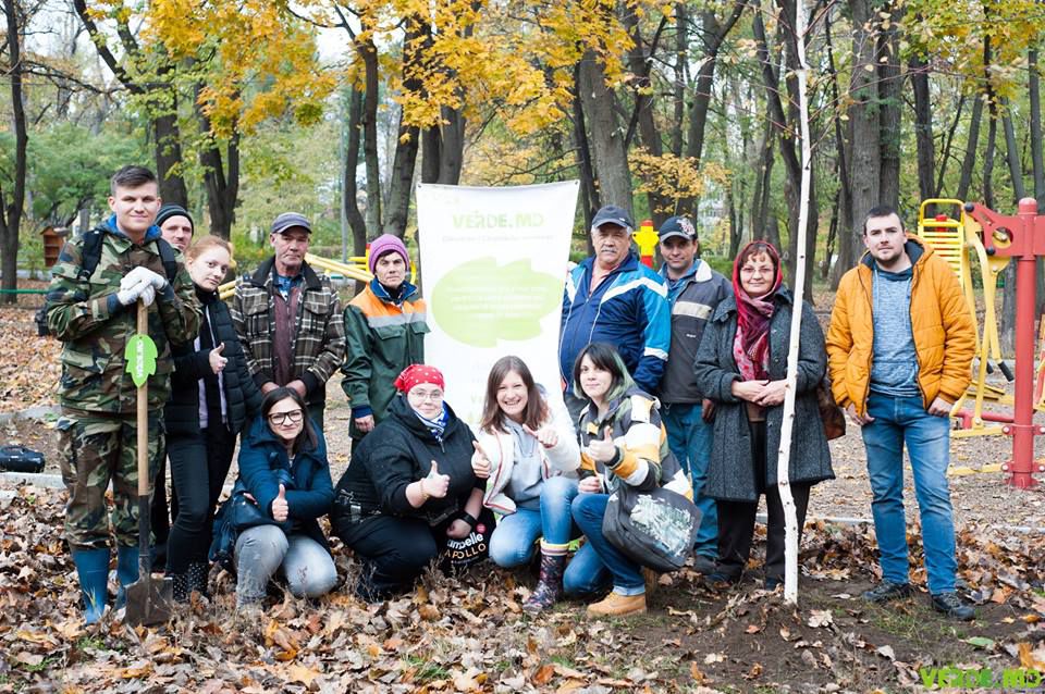 Подведены итоги первого сезона посадок Verde.md