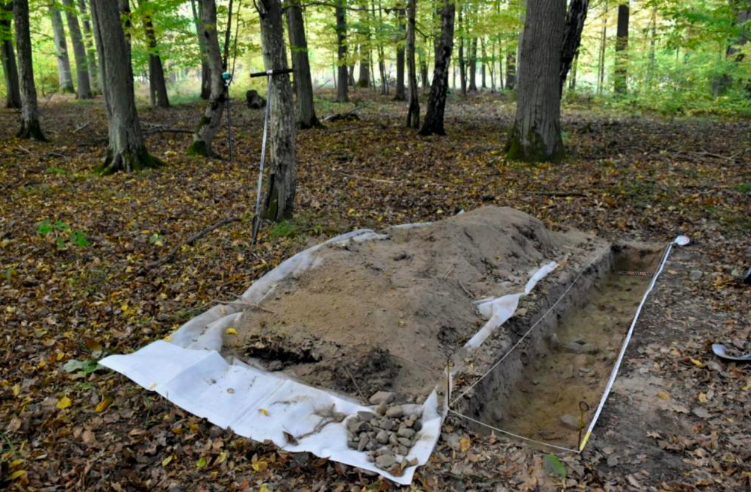 В Польше нашли древний город площадью 170 га