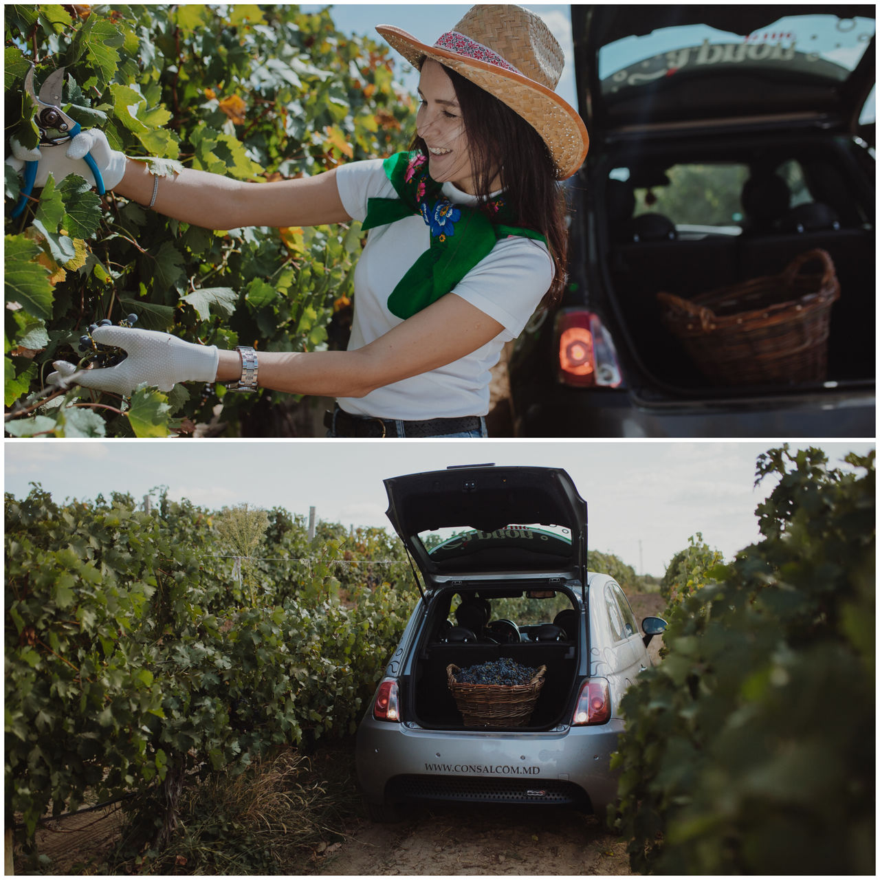 Apriori Wine: Будущее наступит завтра, будь экорациональным сегодня ®