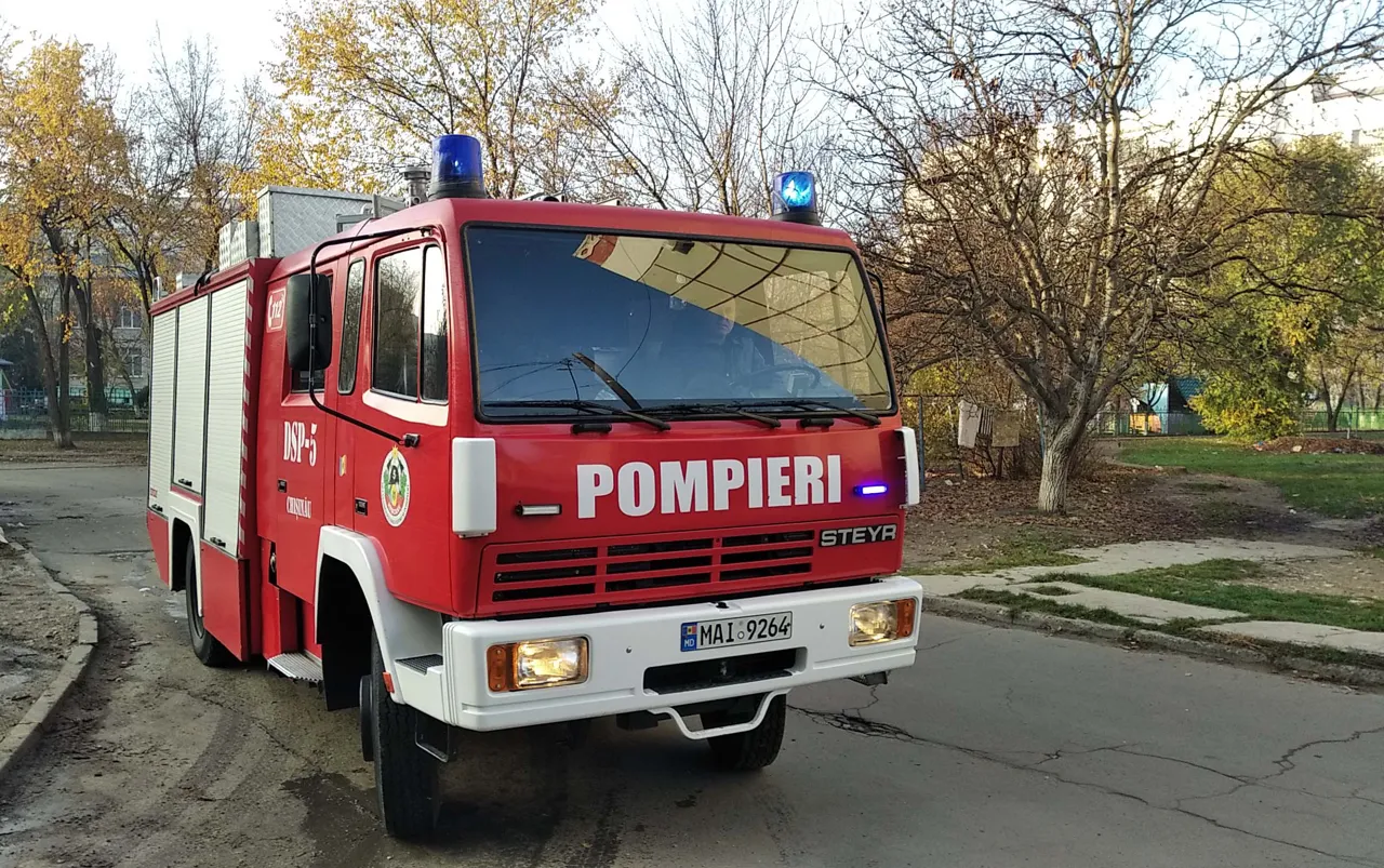 В Кишиневе пожарные спасли кошку, взобравшуюся на дерево