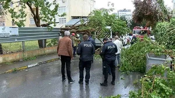 В Турции ураган снес минарет мечети и крыши зданий
