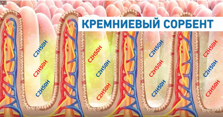 Пасхальные застолья без последствий: как Lactobio-EnterosGel помогает при пищевых и алкогольных отравлениях