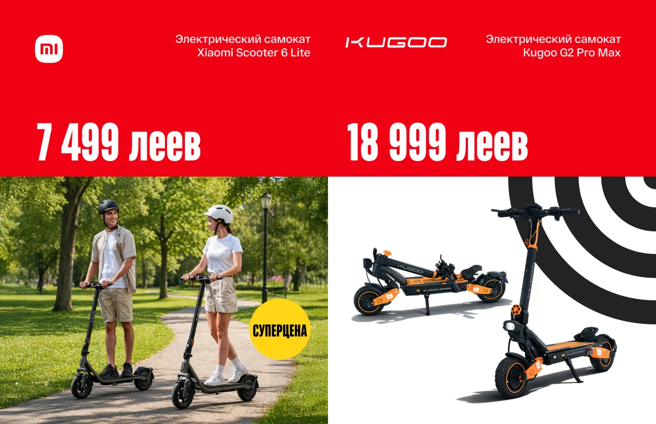 Bomba: Вайбовая весна - всё для пикников, дачи и отдыха на природе